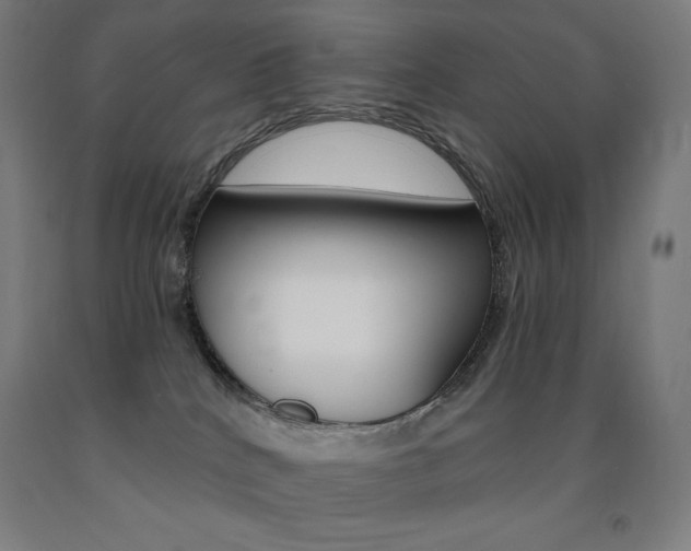 X0000093120040200709261023