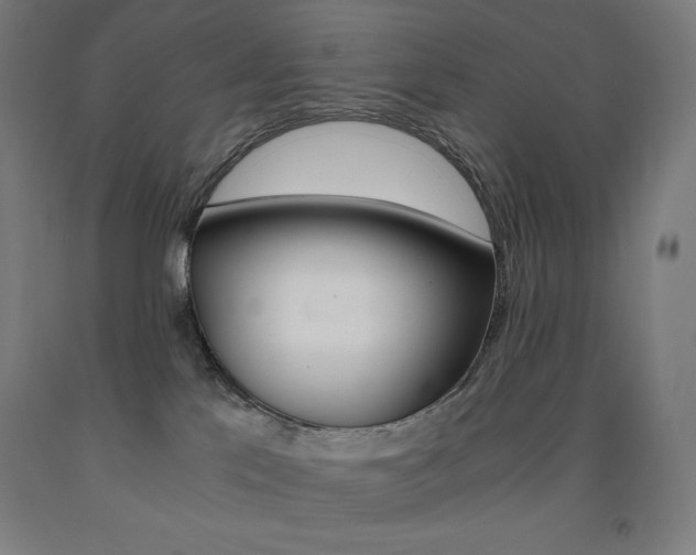 X0000093120041200709261023