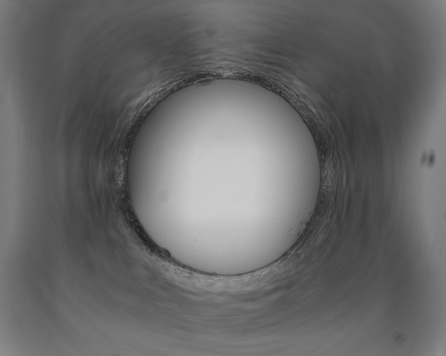 X0000093120043200709261023