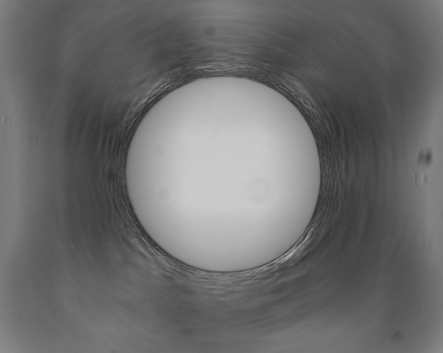 X0000093120045200709261023