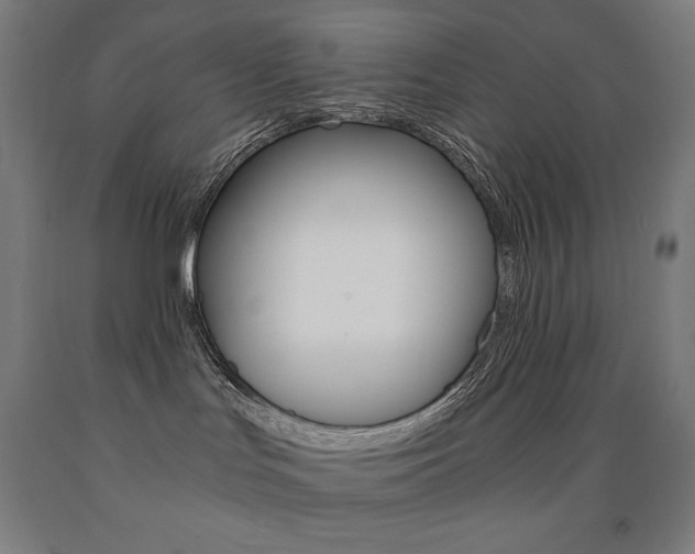 X0000093120047200709261023