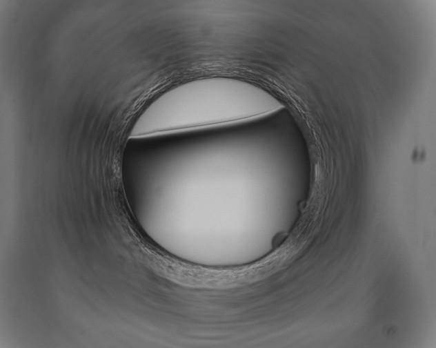 X0000093120048200709261023