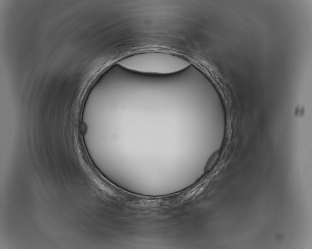 X0000093120049200709261023