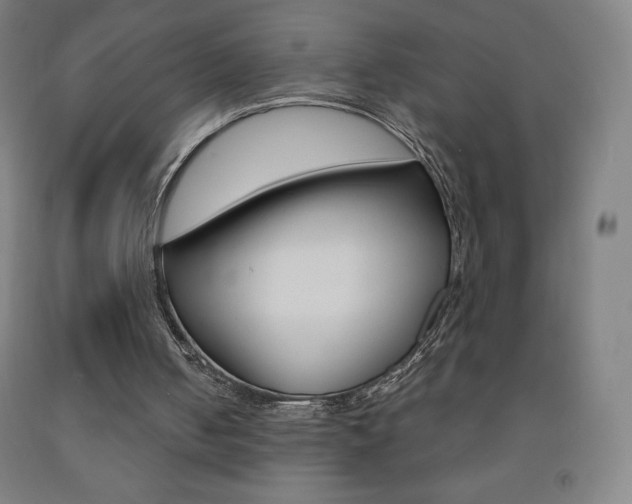 X0000093120050200709261023
