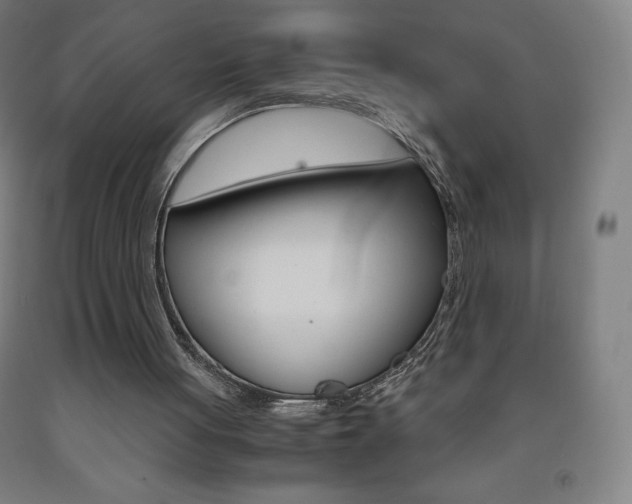 X0000093120051200709261023