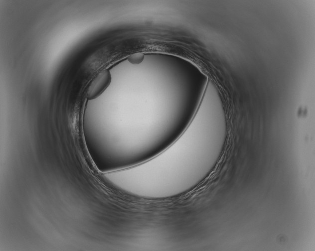 X0000093120052200709261023