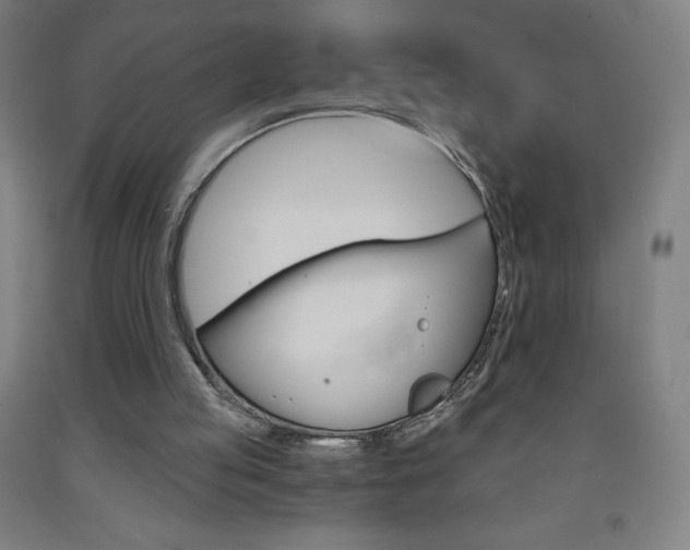 X0000093120053200709261023