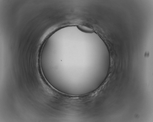 X0000093120054200709261023