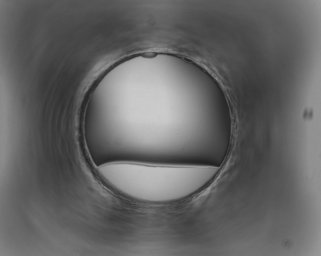 X0000093120055200709261023