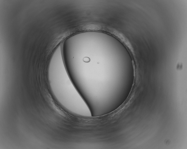 X0000093120057200709261023