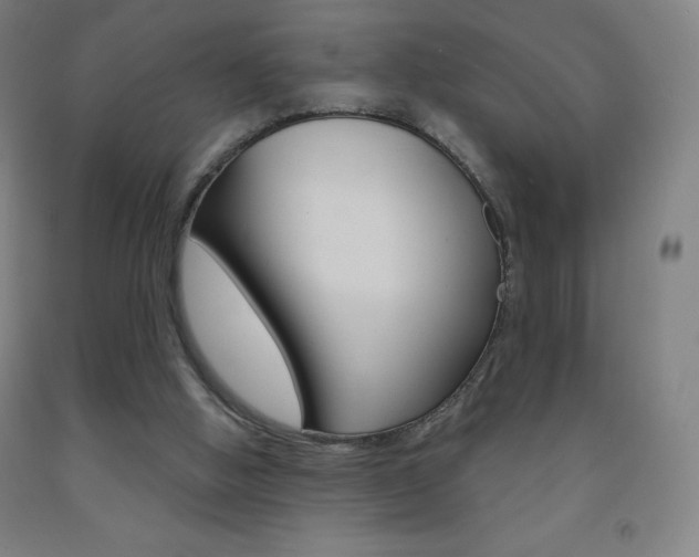 X0000093120058200709261023