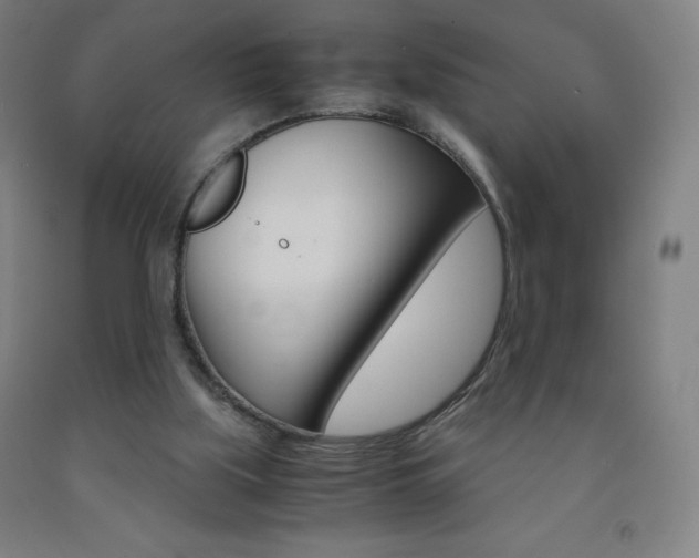 X0000093120059200709261023