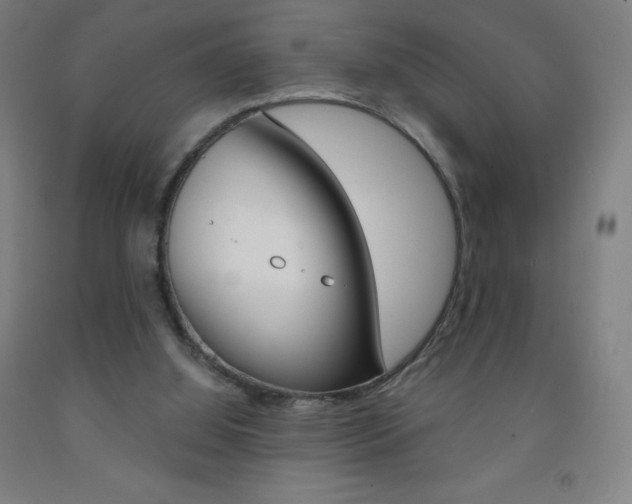 X0000093120060200709261023