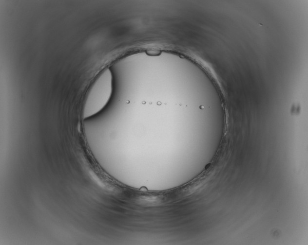 X0000093120061200709261023