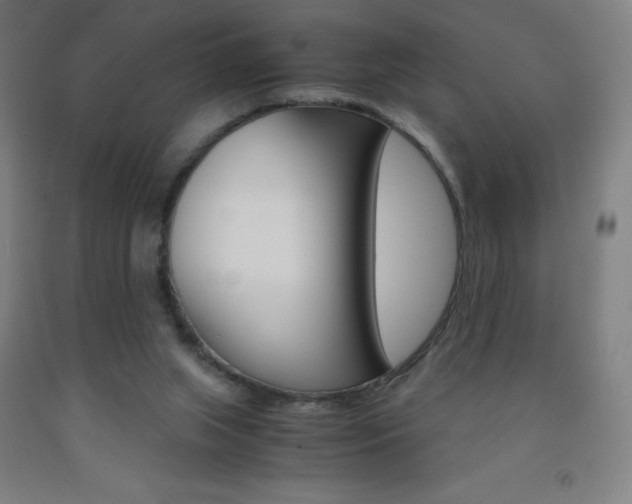X0000093120063200709261023