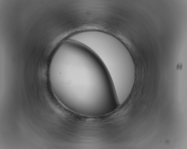 X0000093120064200709261023