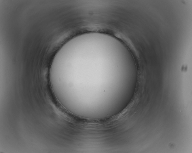 X0000093120066200709261023