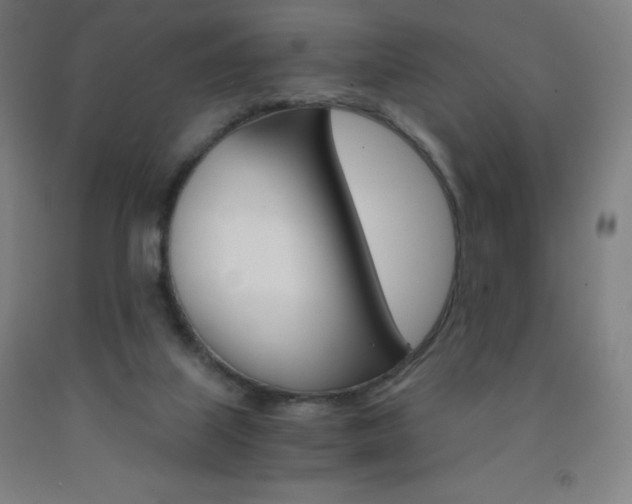 X0000093120067200709261023