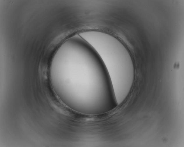 X0000093120068200709261023