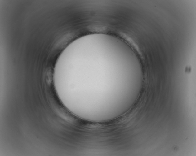 X0000093120069200709261023