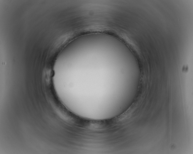 X0000093120070200709261023