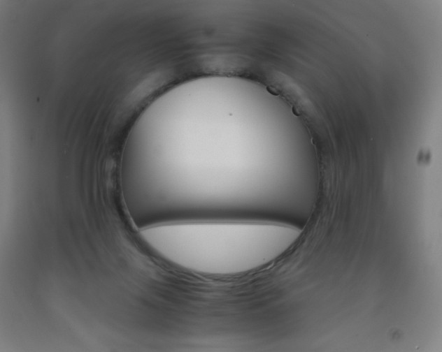 X0000093120071200709261023