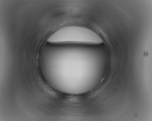 X0000093120073200709261023