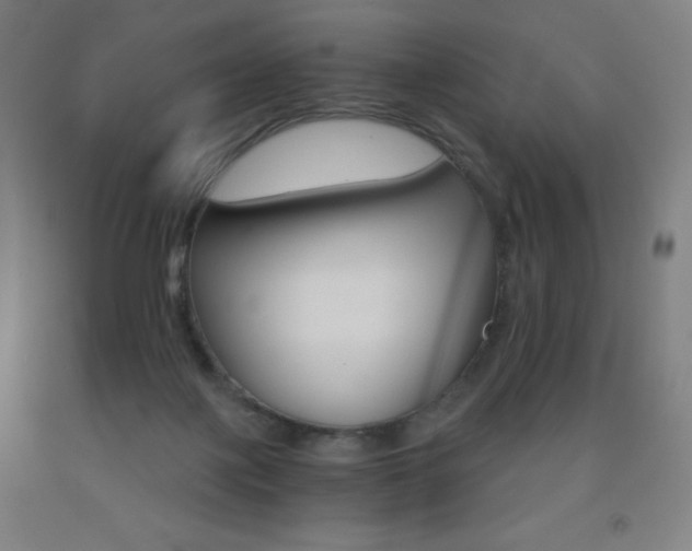 X0000093120075200709261023