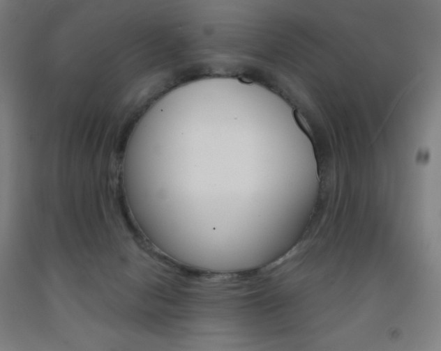 X0000093120078200709261023