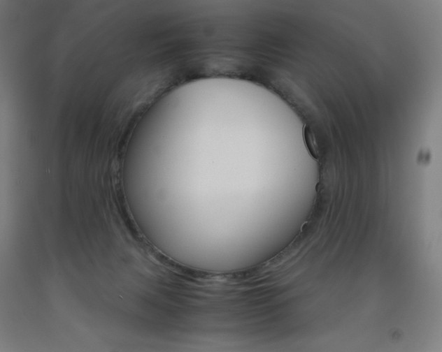 X0000093120079200709261023