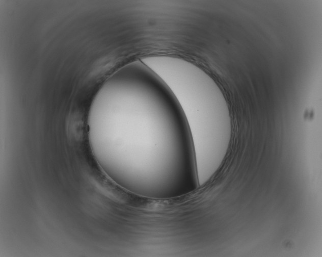 X0000093120080200709261023