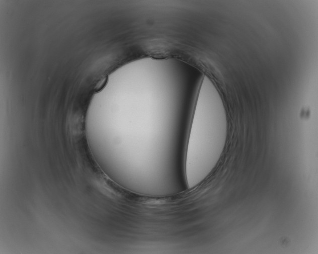 X0000093120081200709261023