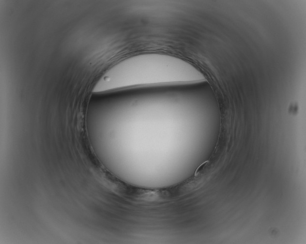 X0000093120083200709261023