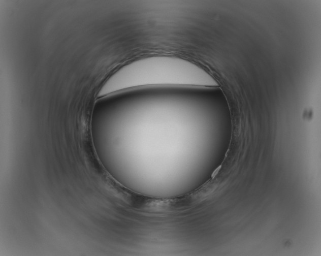 X0000093120084200709261023