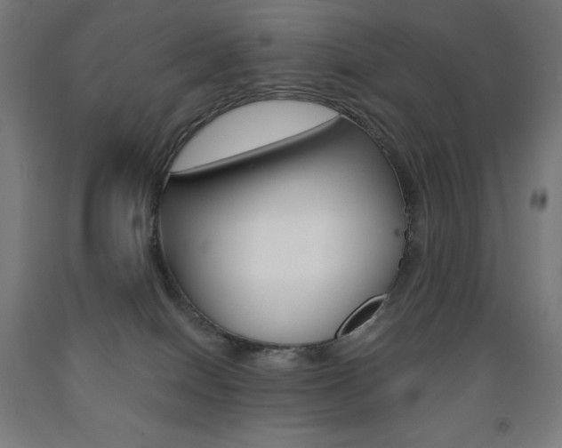 X0000093120086200709261023