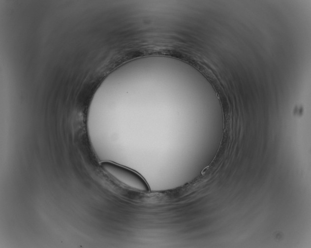 X0000093120087200709261023