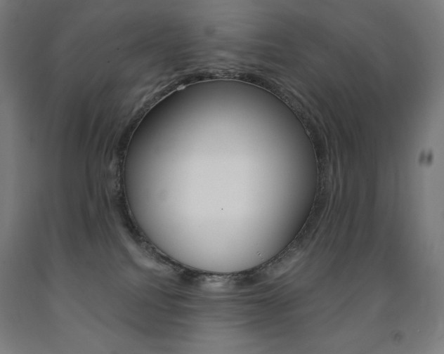 X0000093120088200709261023