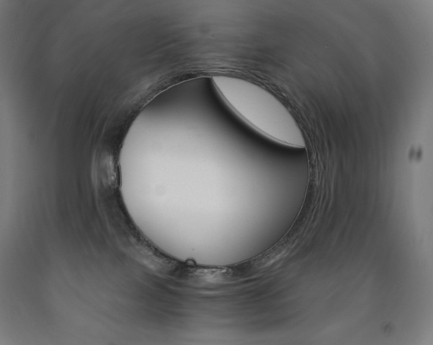 X0000093120089200709261023