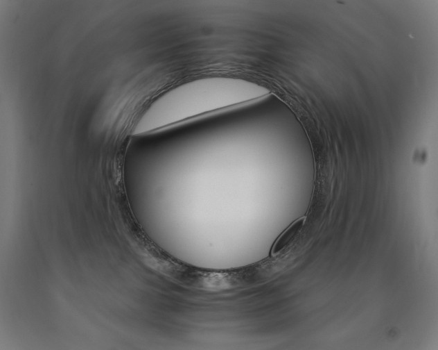 X0000093120091200709261023