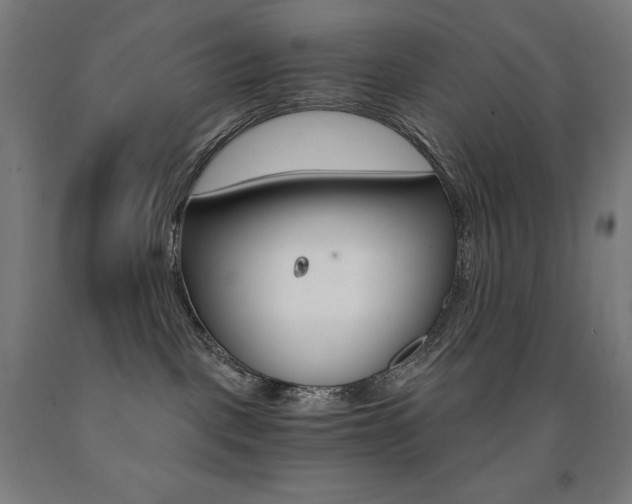 X0000093120093200709261023