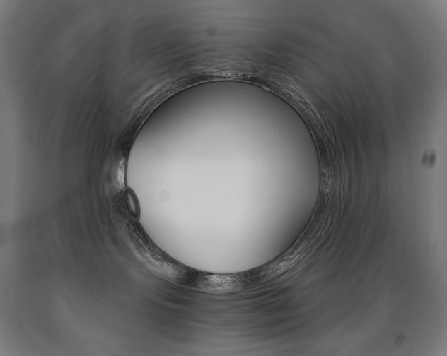 X0000093120095200709261023