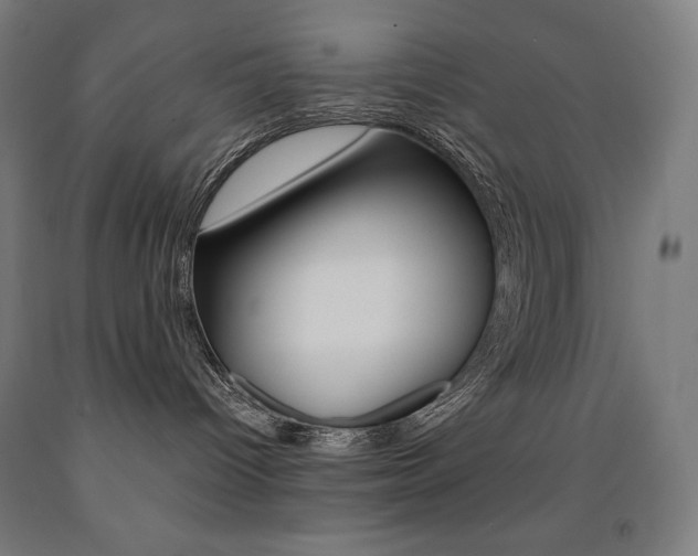 X0000093120096200709261023