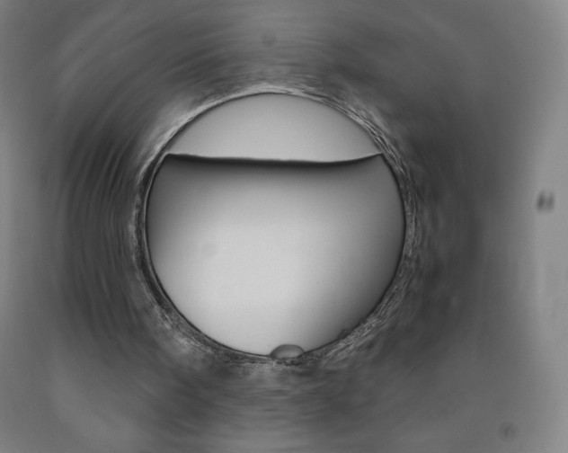 X0000093120098200709261023