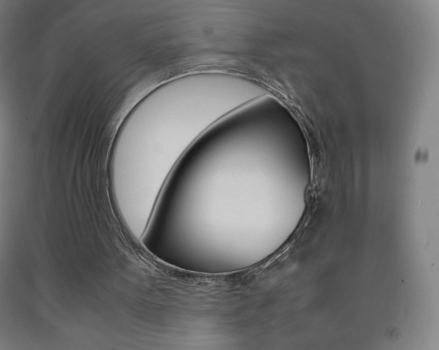X0000093120099200709261023