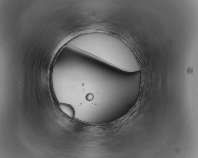 X0000093120100200709261023
