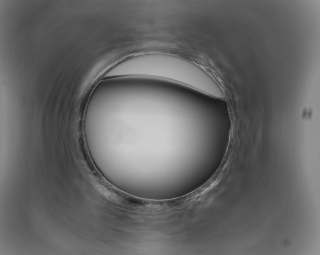 X0000093120101200709261023