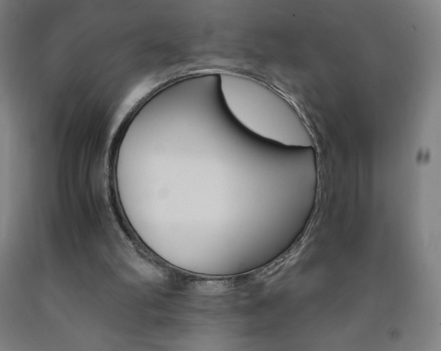 X0000093120102200709261023