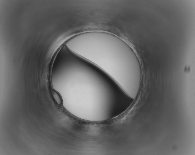 X0000093120103200709261023