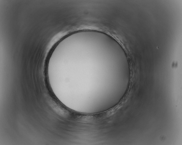 X0000093120104200709261023