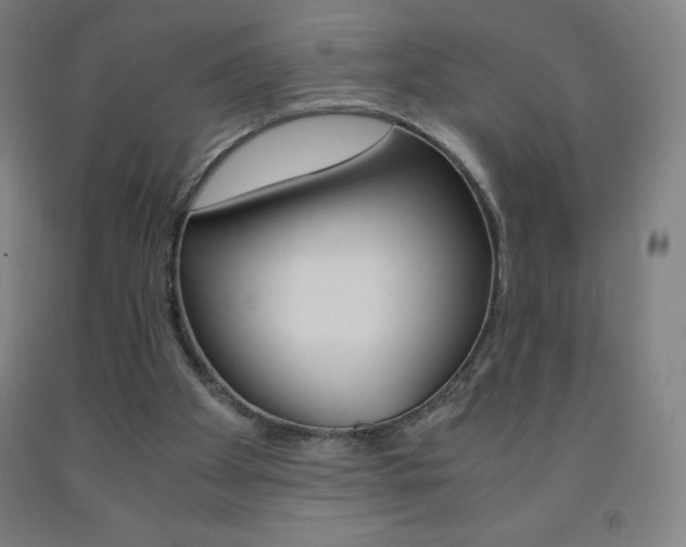 X0000093120105200709261023